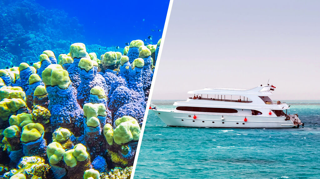 Nile Cruise and Hurghada Stay
