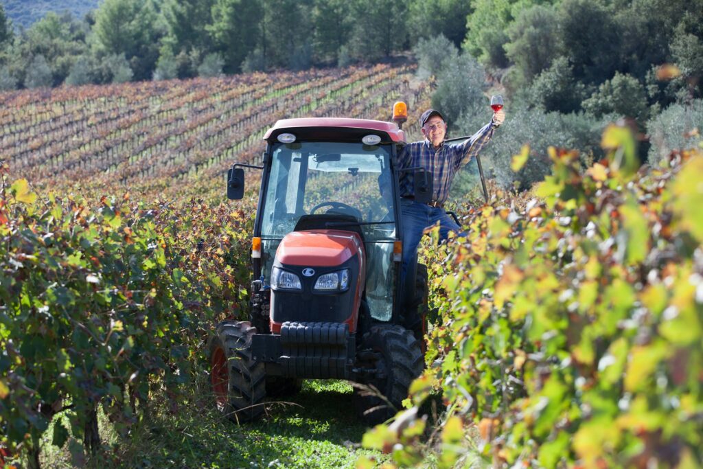 Vineyards and Wine Tasting